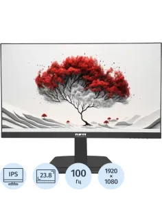 Монитор RDW Computers 23.8 RDW2401K IPS 16:9 HDMI HAS Piv 100Hz VGA DP FHD