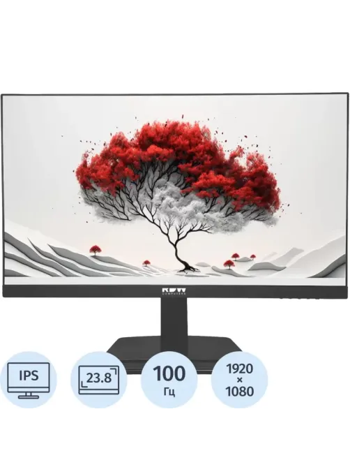 Монитор RDW Computers 23.8 RDW2401K IPS 16:9 HDMI HAS Piv 100Hz VGA DP FHD