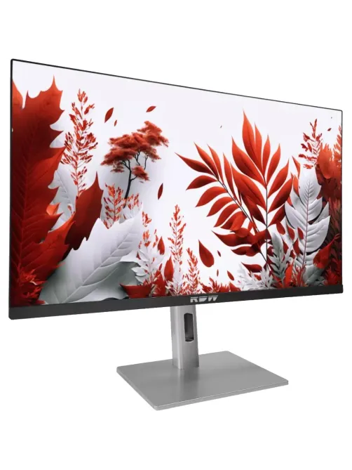 Монитор RDW Computers 23.8 RDW2407 FHD/IPS/HAS Piv/120Гц/VGA/HDMI/DP/черн