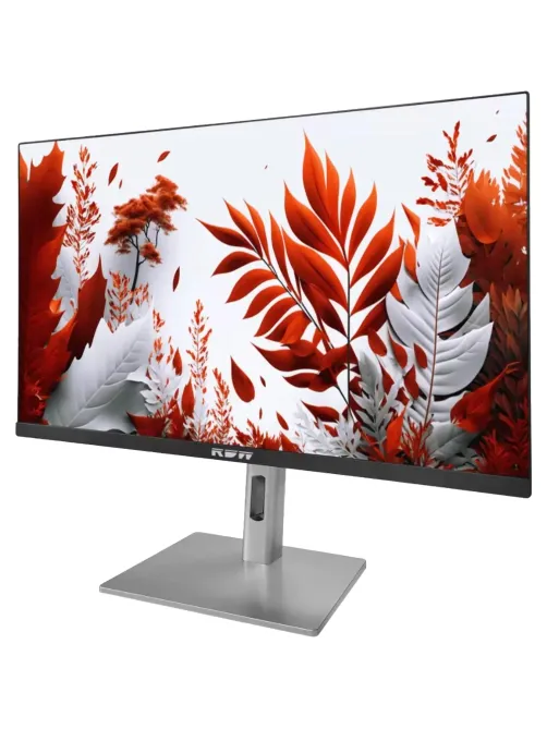 Монитор RDW Computers 23.8 RDW2407 FHD/IPS/HAS Piv/120Гц/VGA/HDMI/DP/черн