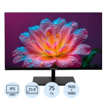 Монитор IRBIS MIR View24 23.8''(FHD,IPS,VGA,HDMI,DP(R24FIDS120_MIR)