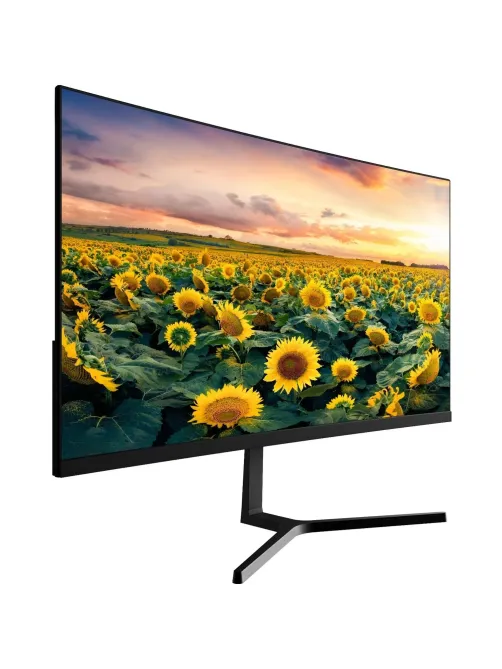 Монитор 22 ECOVINKA SV9 Pro VA FHD 100Hz (ECVK22A1S)