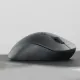 Мышь компьютерная RAPOO (M50PLUS-BL) беспроводная черная