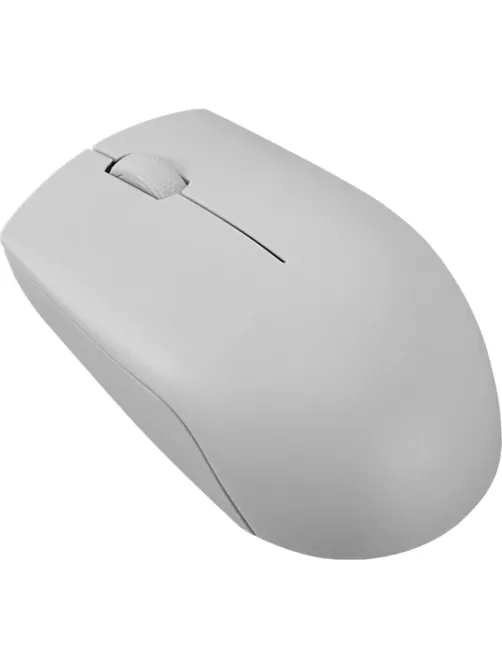 Мышь компьютерная Lenovo беспров. 300 серый (GY51L15678)