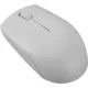 Мышь компьютерная Lenovo беспров. 300 серый (GY51L15678)