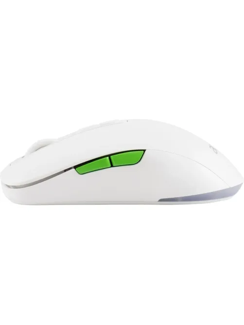 Мышь компьютерная Acer OMR311 2400dpi BT/Radio USB 7but(ZL.MCECC.034)бел