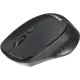 Мышь компьютерная ProMega jet WM010 USB WLS RT/1 АА/dpi 1600/3 кн/черный