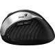 Мышь компьютерная Genius Ergo 8250S, вертикальная беспроводная, серебристый