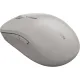 Мышь компьютерная CANYON беспров. MW-12 серый (CNS-CMSW12DG)