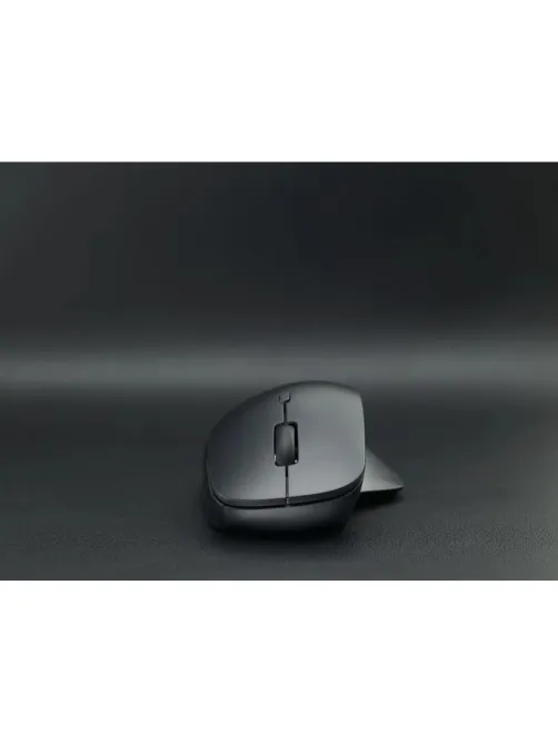 Мышь компьютерная RAPOO (M50PLUS-BL) беспроводная черная