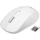 Мышь компьютерная Acer OMR309 белый,оптич,1600dpi,беспр,USB (ZL.MCECC.02Z)