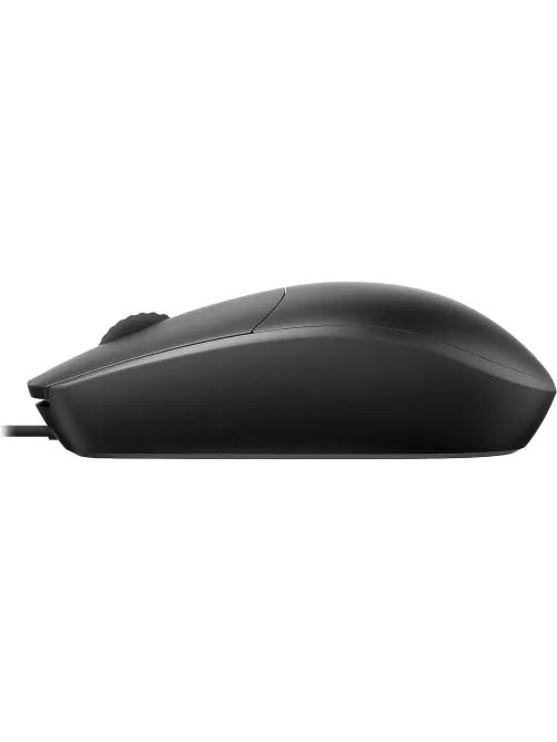 Мышь компьютерная RAPOO N100C проводная, черный