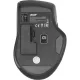 Мышь компьютерная Acer OMR150 black (1600dpi) wireless USB(ZL.MCEEE.00K)
