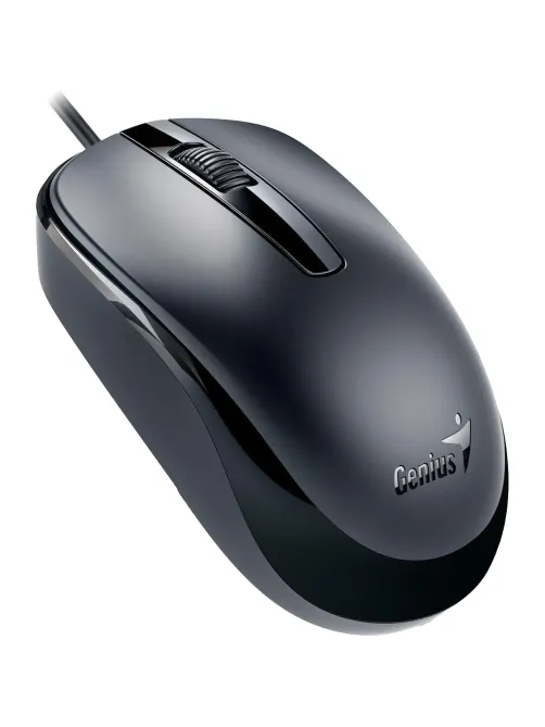 Мышь компьютерная Genius DX-120, Optical, USB, 1000dpi, Black, 31010010400