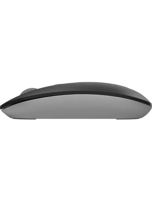 Мышь компьютерная A4Tech Fstyler FG20 серый оптическая (2000dpi) WLS (4but)
