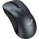 Мышь компьютерная Genius Ergo 8100S, беспроводная, железно-серый