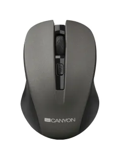 Мышь компьютерная Canyon MW-1, беспроводная, серый (CNE-CMSW1G)