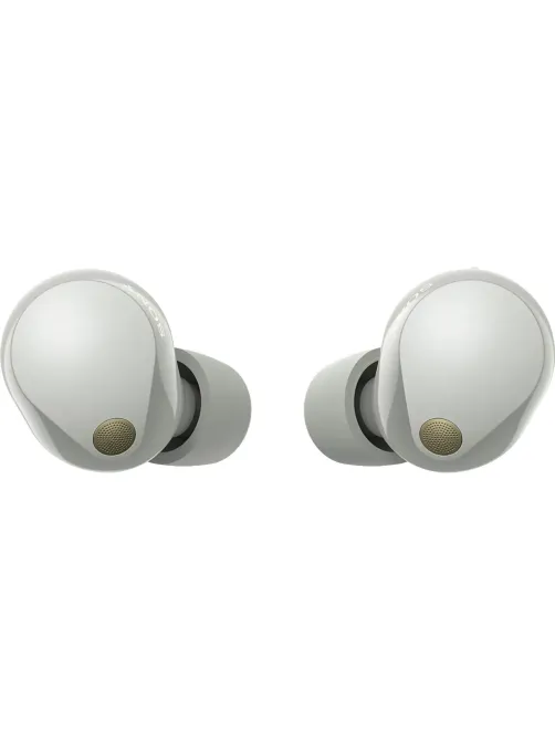 Наушники Sony WF-1000XM5/SC Silver