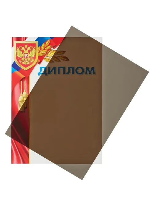 Обложки для переплета пластиковые  дымчА4,200мкм,100шт/уп