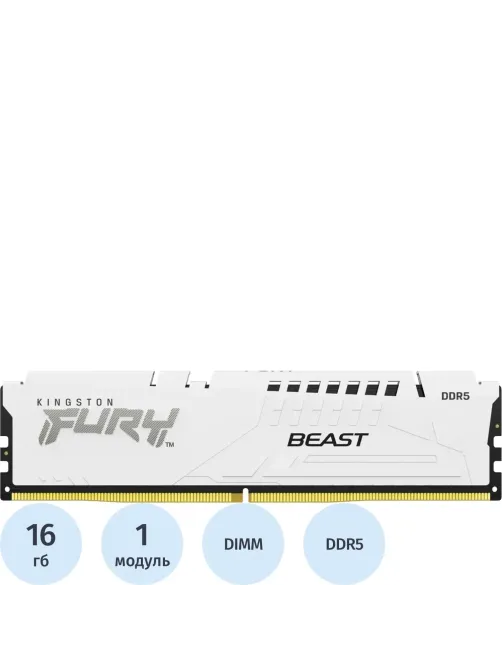 Модуль памяти Kingston FURY Beast DDR5 DIMM 16GB 6000Мгц(KF560C36BWE2-16)