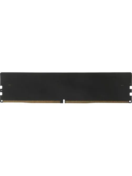 Модуль памяти Netac DIMM DDR5 16GB 5600Мгц (NTBSD5P56SP-16)
