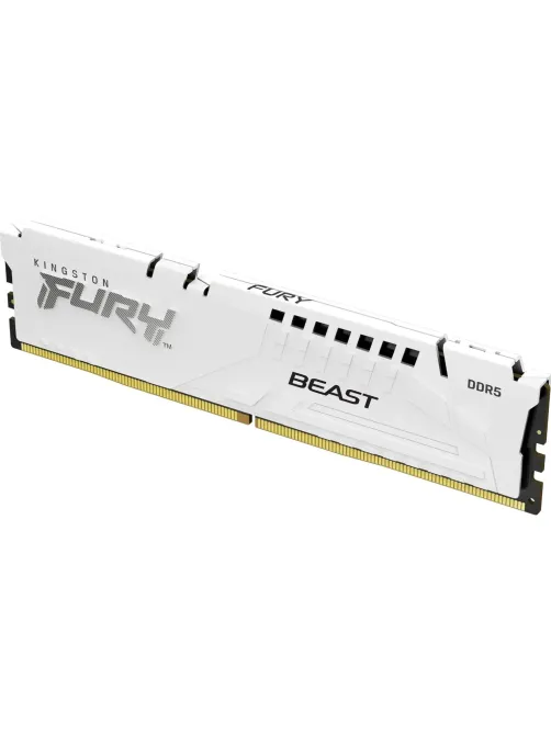 Модуль памяти Kingston FURY White DDR5 DIMM 16GB 5600Мгц(KF556C36BWE-16)