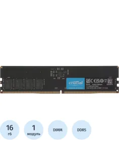 Модуль памяти Crucial DDR5 DIMM 16GB 4800Мгц(CT16G48C40U5)