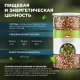 Смесь семян для салата 1000г