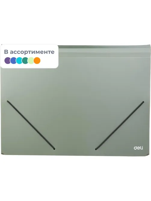 Папка органайзер Start на резин горизонтА4 13отд РР 0,75мм в ассортим E5551