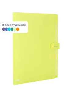 Папка органайзер Rio на кнопке  A4 8отделений РР 0,6мм в ассортим EB40102