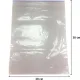 Пакет с замком (Zip Lock) 20х30 см 60 мкм 100 шт/уп