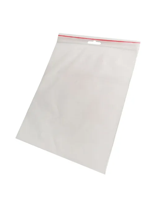 Пакет с замком (Zip Lock) с европодвесом 18 х 25 см, 60 мкм, 100 шт/уп