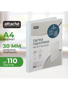 Папка на 4-х кольцах Панорама 30мм Россия