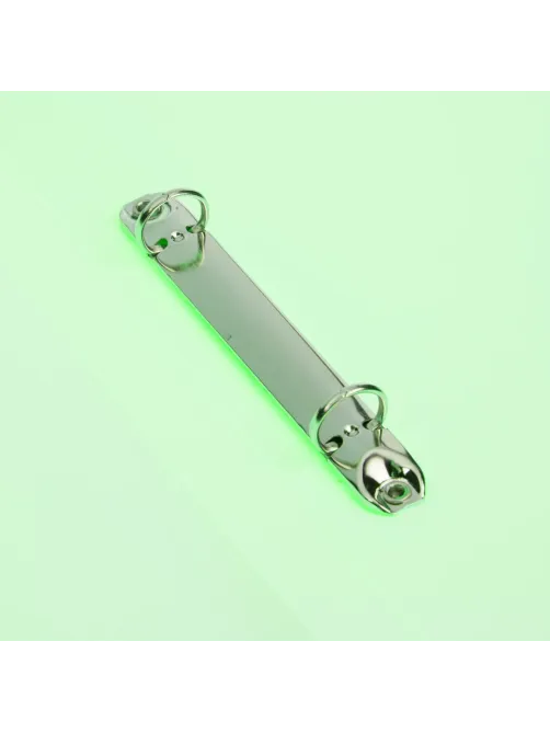 Папка на 2-х кольцах Attache Neon А4 18мм, плотность 500мкм, салатовый