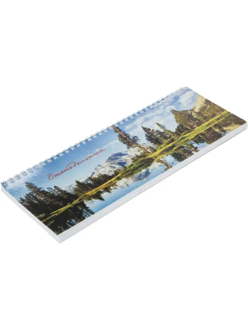 Планинг недатированный 295х100  56 л.Пт 4603721416431