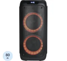 Акустическая система AIWA CAS-500, 80Вт