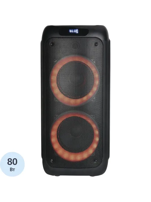 Акустическая система AIWA CAS-500, 80Вт