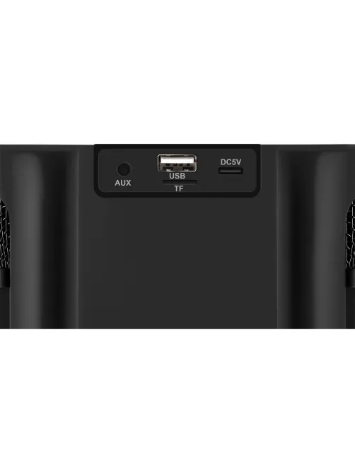 Акустическая система Defender Versuz 15Вт, BT/USB/TF/AUX/RGB/MIC