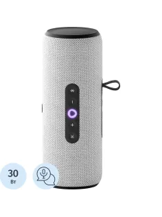 Умная колонка Яндекс Станция Стрит с Алисой, серый (YNDX-00030GRY)