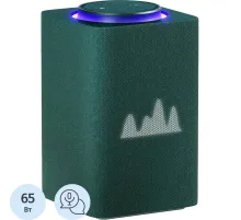 Умная колонка Яндекс Станция Макс Zigbee, зеленый/green (YNDX-00053Z)