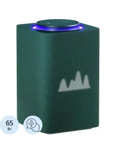 Умная колонка Яндекс Станция Макс Zigbee, зеленый/green (YNDX-00053Z)