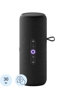 Умная колонка Яндекс Станция Стрит с Алисой, чёрный (YNDX-00030BLK)