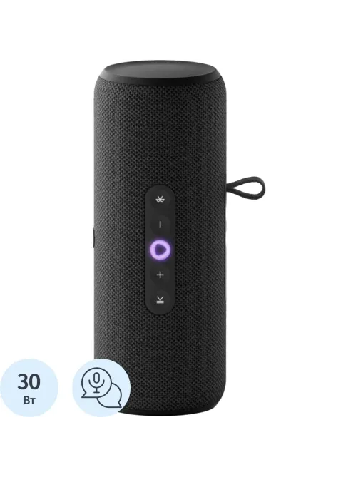 Умная колонка Яндекс Станция Стрит с Алисой, чёрный (YNDX-00030BLK)