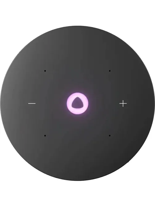 Умная колонка Яндекс Станция Мини 3 Про, Zigbee, серый (YNDX-00059GRY)