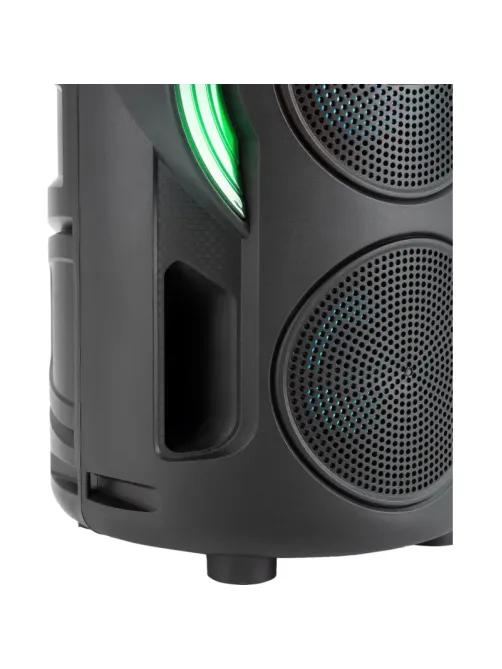Акустическая система Digma D-MC1721 черный 10Вт/FM/USB/BT/micro SD