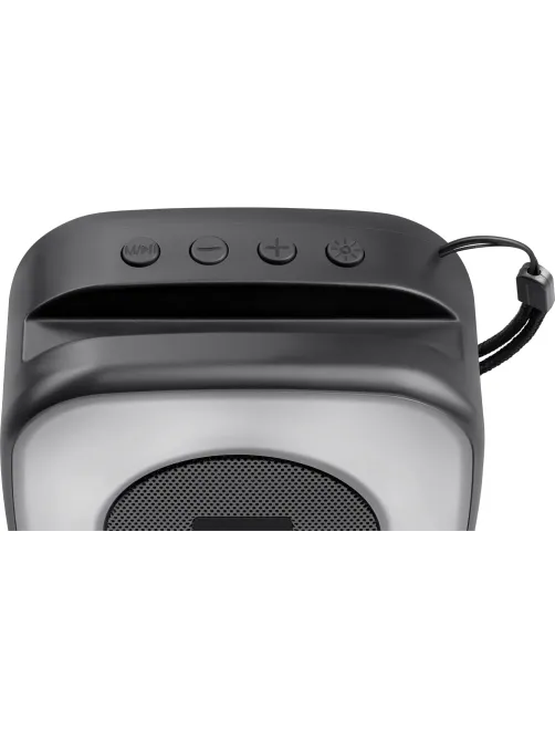 Портативная акустика Defender Enjoy 30, 5Вт, BT/Light/FM/USB/TF/Type-C