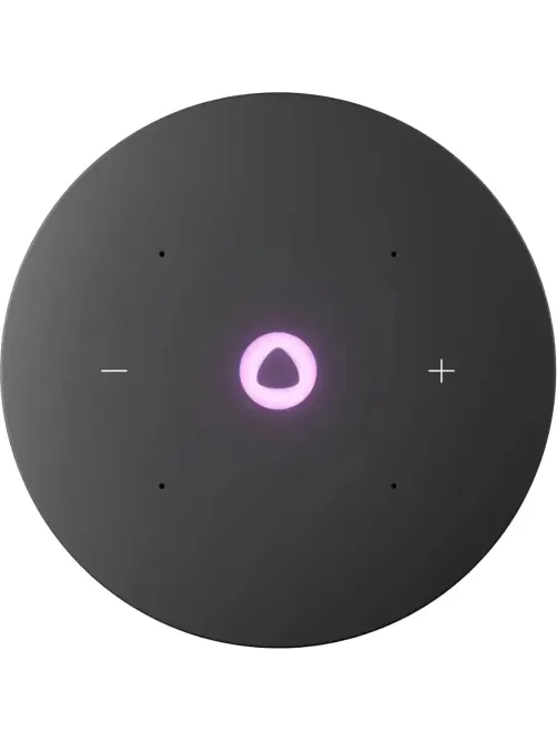 Умная колонка Яндекс Станция Мини 3 Про, Zigbee, чёрный (YNDX-00059BLK)