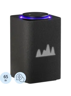 Умная колонка Яндекс Станция Макс Zigbee, графит/black (YNDX-00053K)