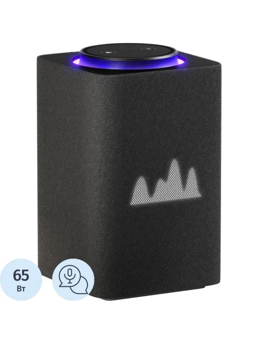 Умная колонка Яндекс Станция Макс Zigbee, графит/black (YNDX-00053K)