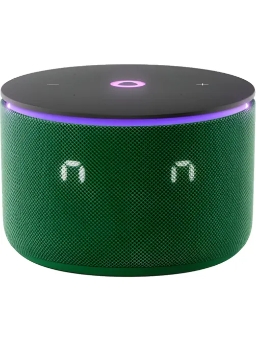 Умная колонка Яндекс Станция Мини 3 Про, Zigbee, зеленый (YNDX-00059GRN)